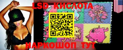 шишки Заводоуковск