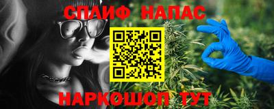 шишки Заводоуковск