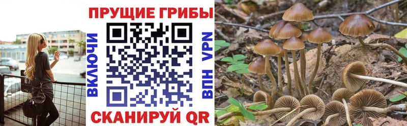 kraken tor  Первоуральск  Псилоцибиновые грибы мицелий 