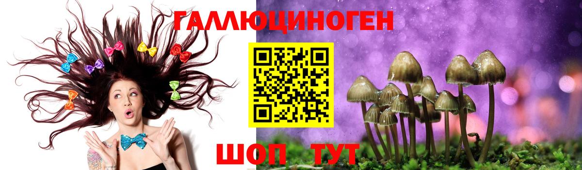 Первоуральск  Галлюциногенные грибы GOLDEN TEACHER  Галлюциногенные грибы MAGIC MUSHROOMS  Вход с VPN 